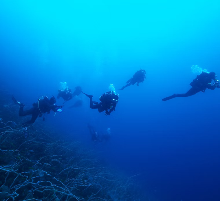 Plongée sous-marine